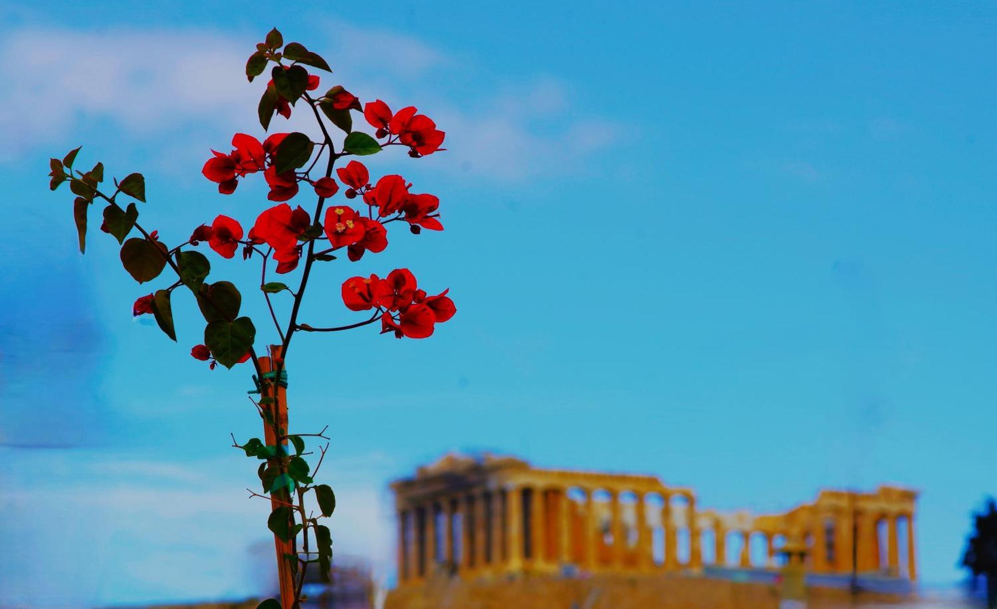 Absolute Athens Acropolis View Aparthotel Exterior foto
