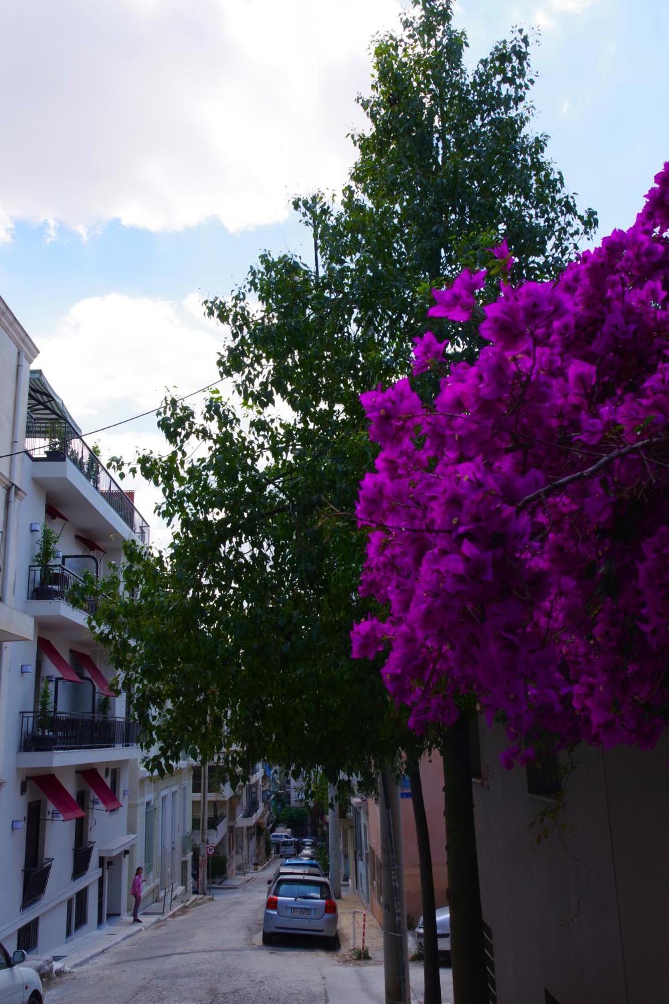 Absolute Athens Acropolis View Aparthotel Exterior foto